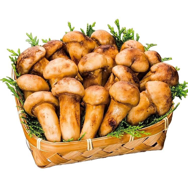 天然まつたけ　松茸　 3本セット約200g Amazon.co.jp: ギフトに最適 松茸 約200g 約3～6本前後 専用カゴ入り